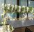 Caterers & Events